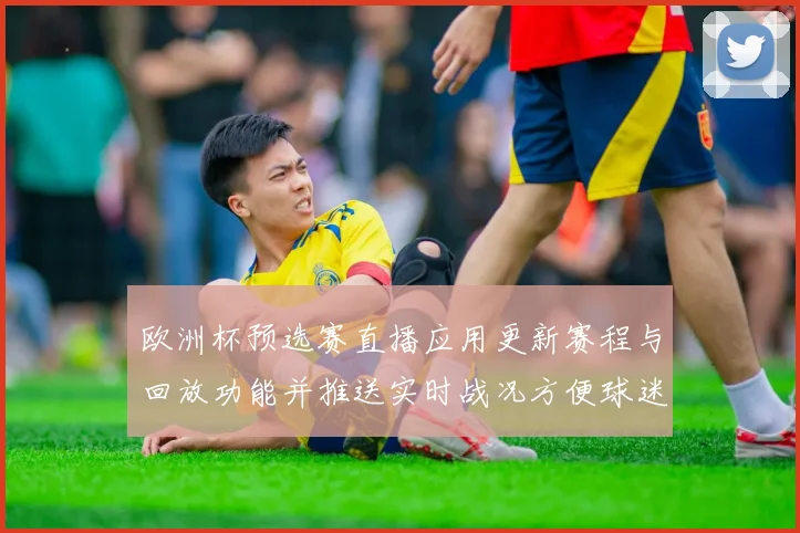 欧洲杯预选赛直播应用更新赛程与回放功能并推送实时战况方便球迷跟赛
